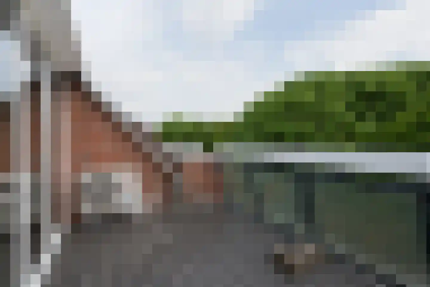 Frederikstraat 425 Den Haag thumbnail 16