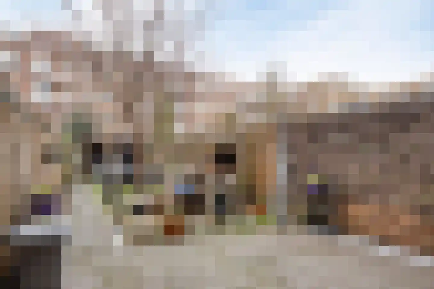Frederikstraat 57 Rotterdam thumbnail 11