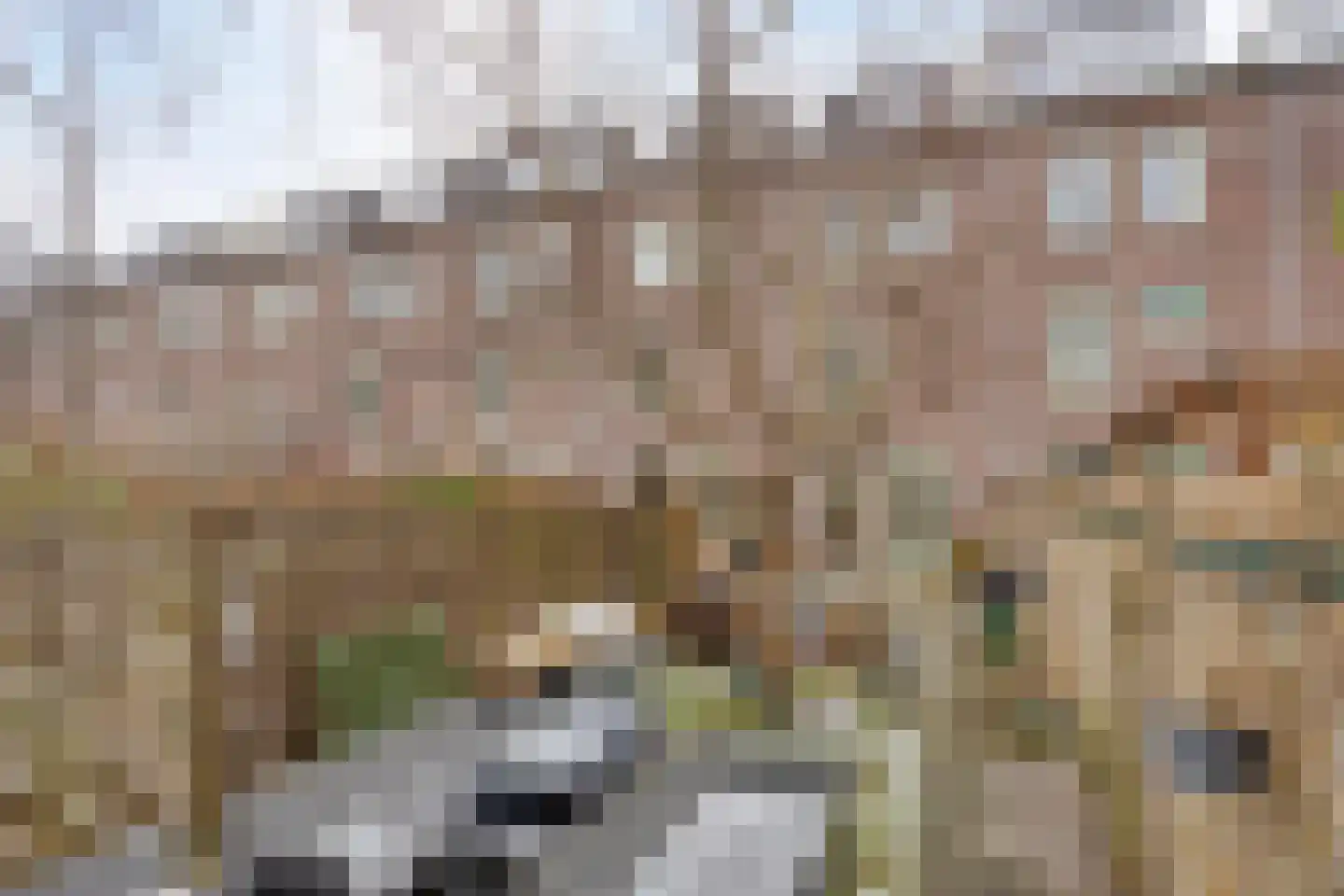 Frederikstraat 57 Rotterdam thumbnail 33