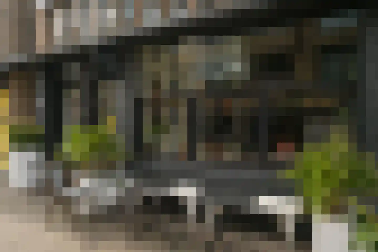 Frederikstraat 58 Den Haag thumbnail 52