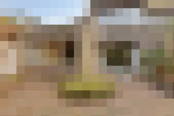 Frederikstraat 6 Serooskerke thumbnail 33