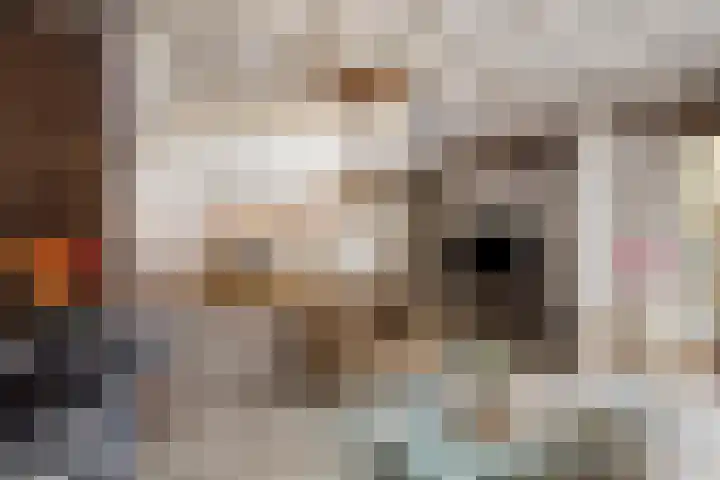 Frederikstraat 6 Serooskerke thumbnail 7