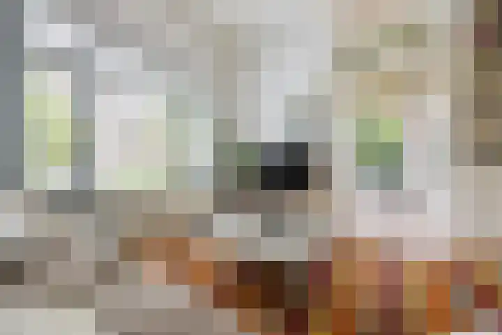 Frederikstraat 6 Velp thumbnail 17