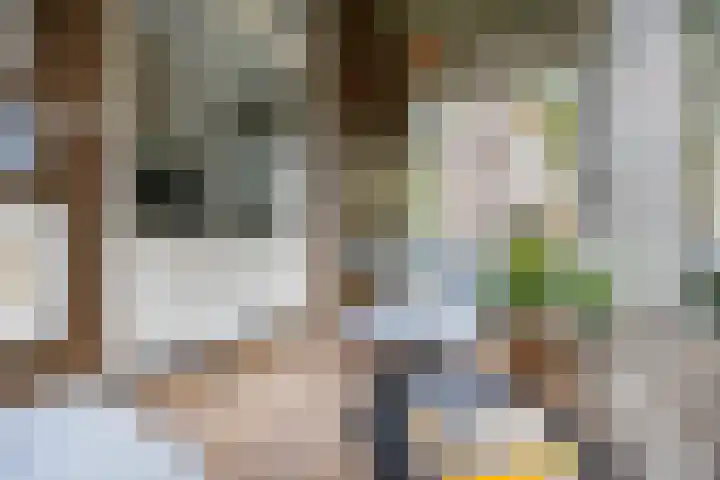 Frederikstraat 6 Velp thumbnail 20
