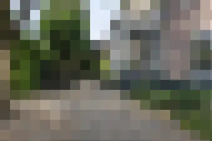 Frederikstraat 6 Velp thumbnail 4