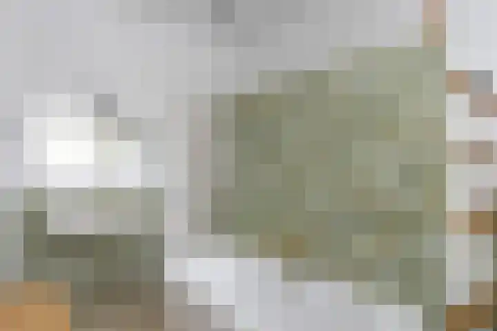 Frederikstraat 6 Velp thumbnail 42