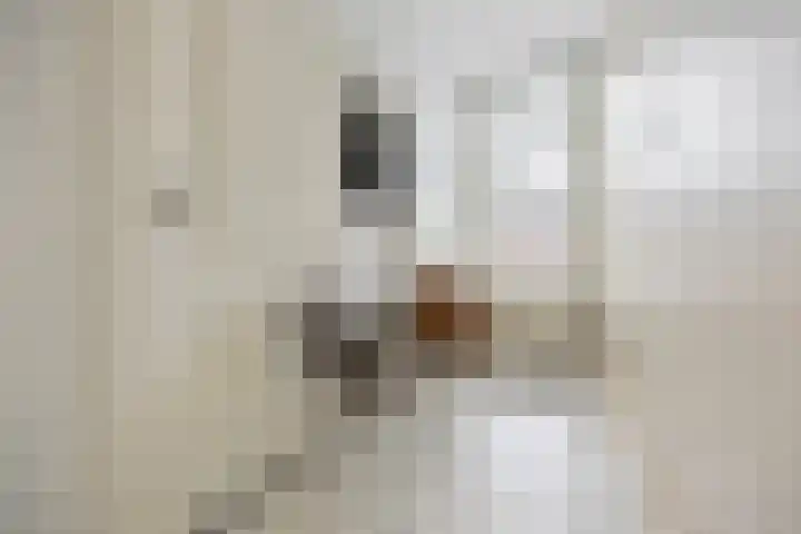 Frederikstraat 6 Velp thumbnail 52