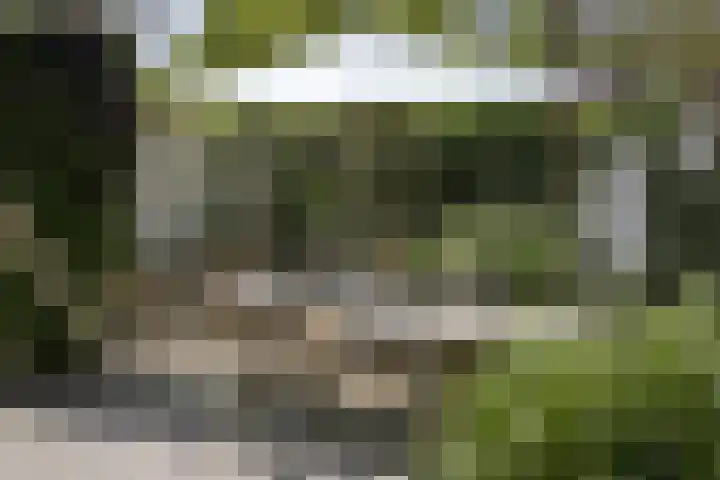 Frederikstraat 6 Velp thumbnail 57