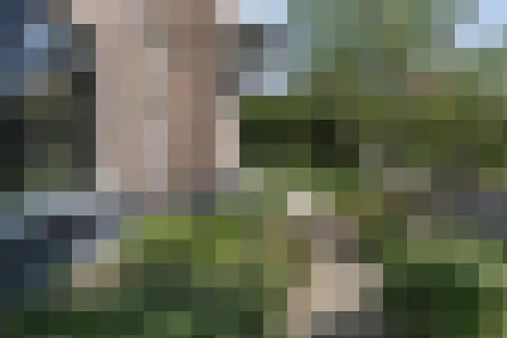 Frederikstraat 6 Velp thumbnail 6