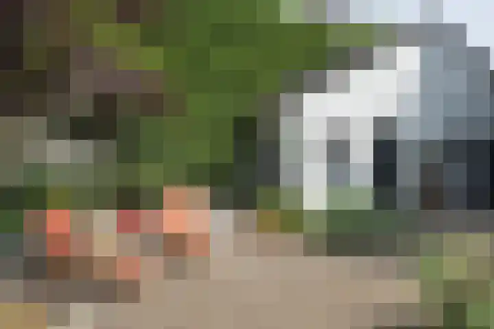 Frederikstraat 6 Velp thumbnail 66