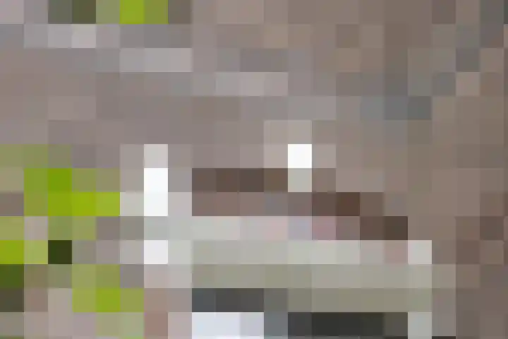 Frederikstraat 6 Velp thumbnail 7
