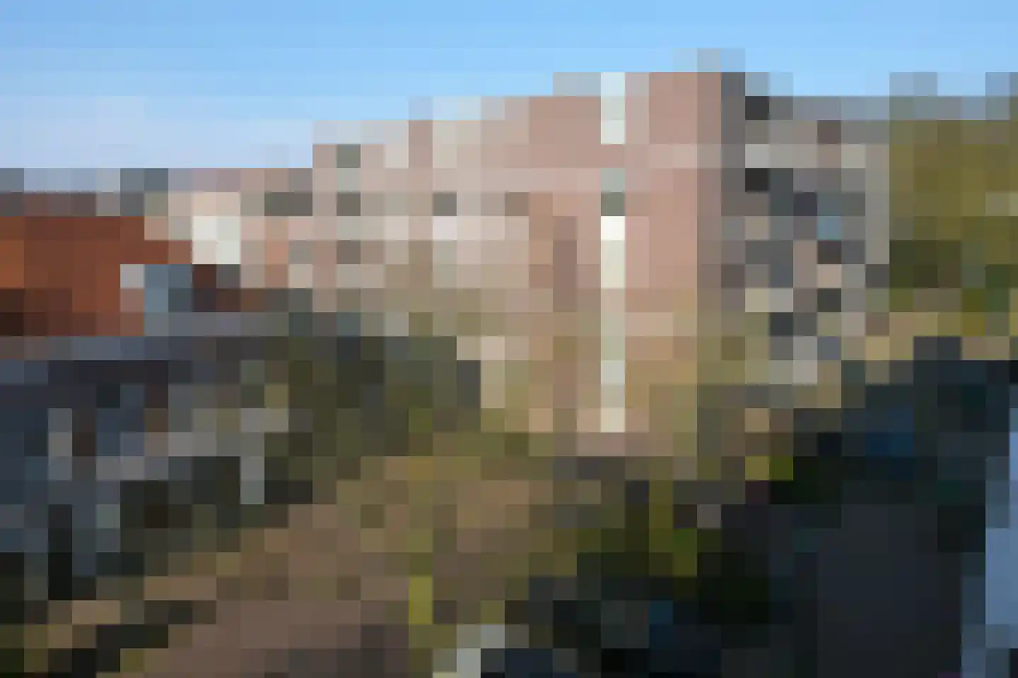 Frederikstraat 643 Den Haag thumbnail 35