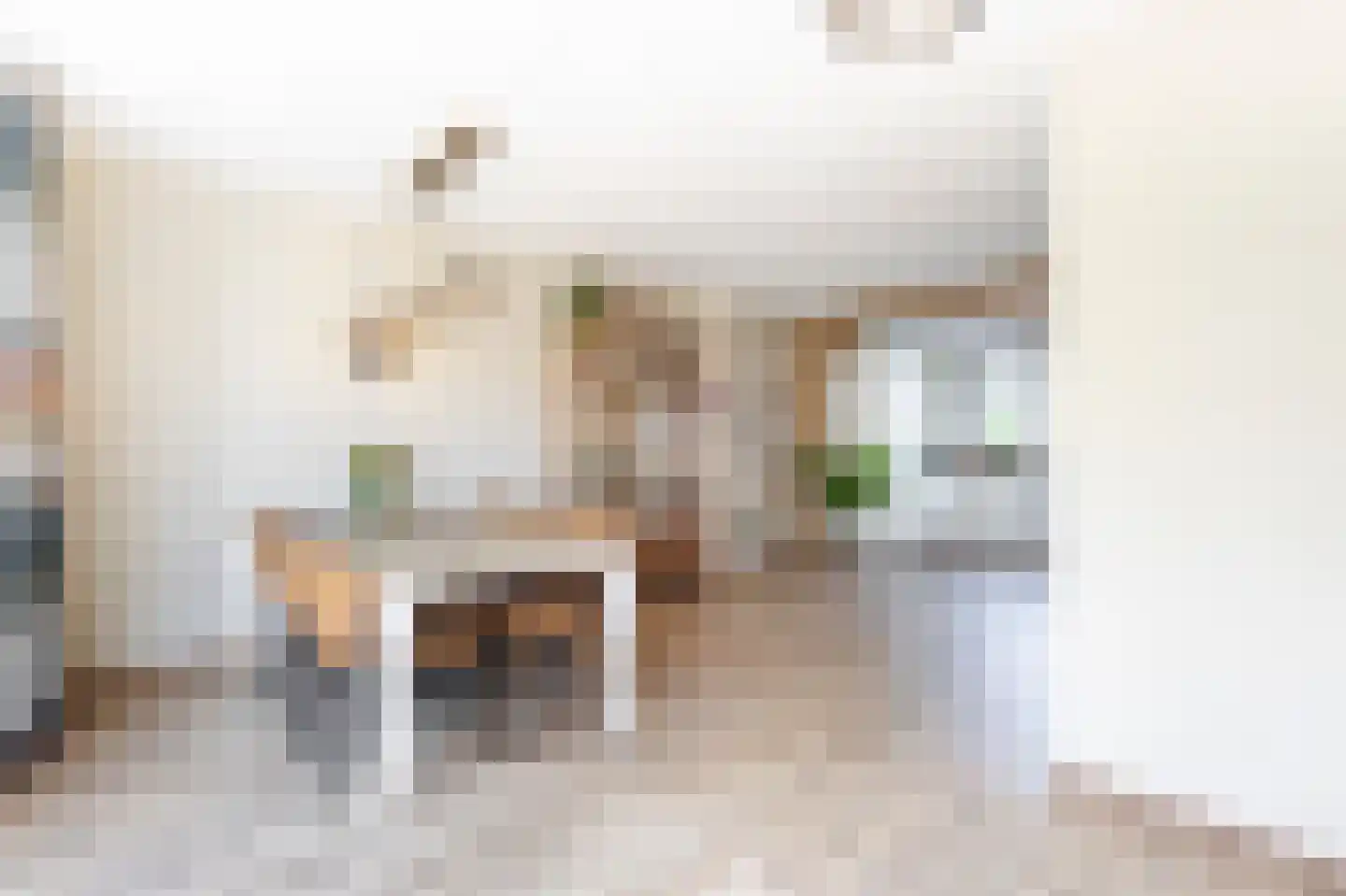 Frederikstraat 8 Hardinxveld-Giessendam thumbnail 5