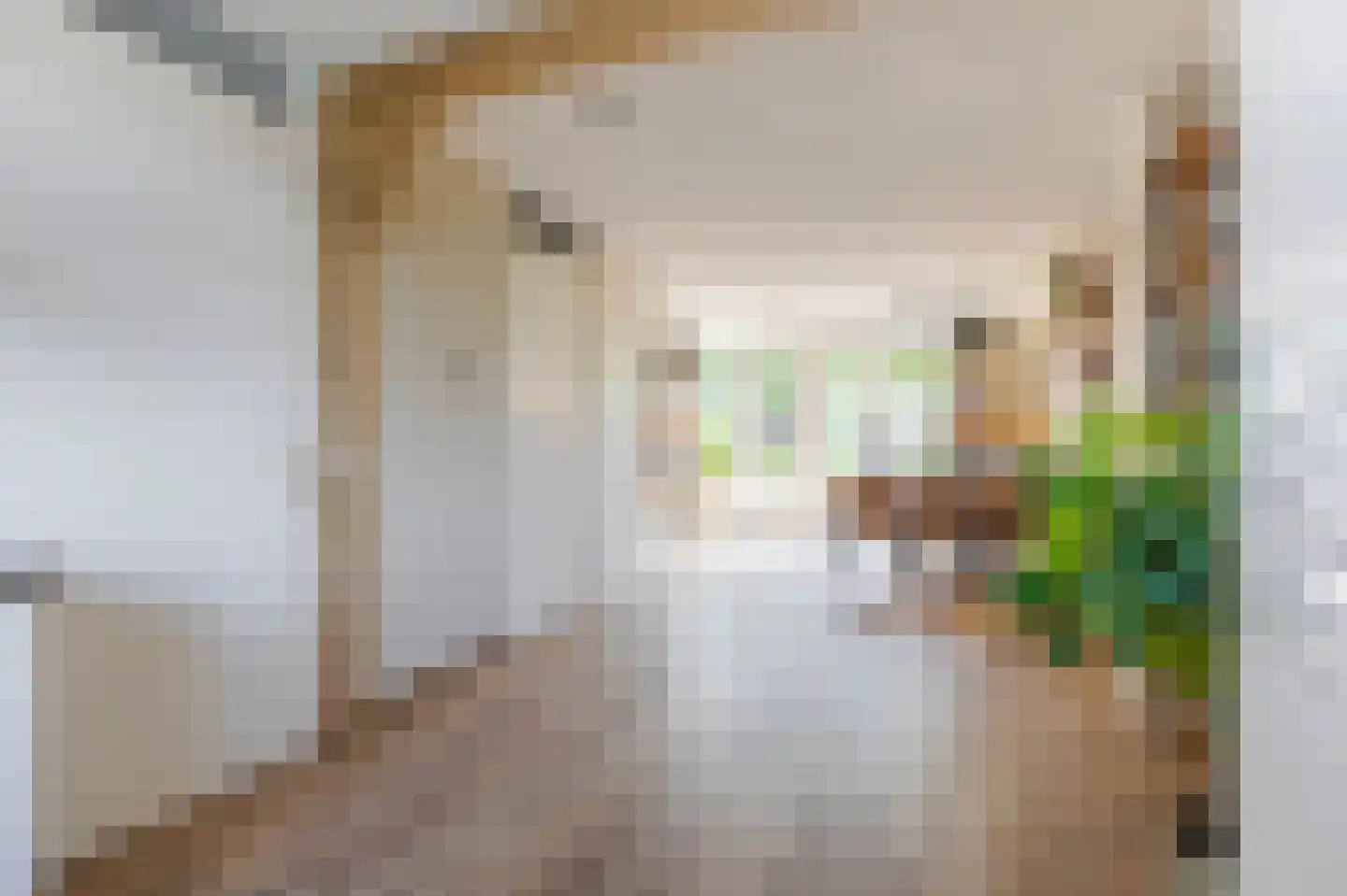 Frederikstraat 8 Hardinxveld-Giessendam thumbnail 7