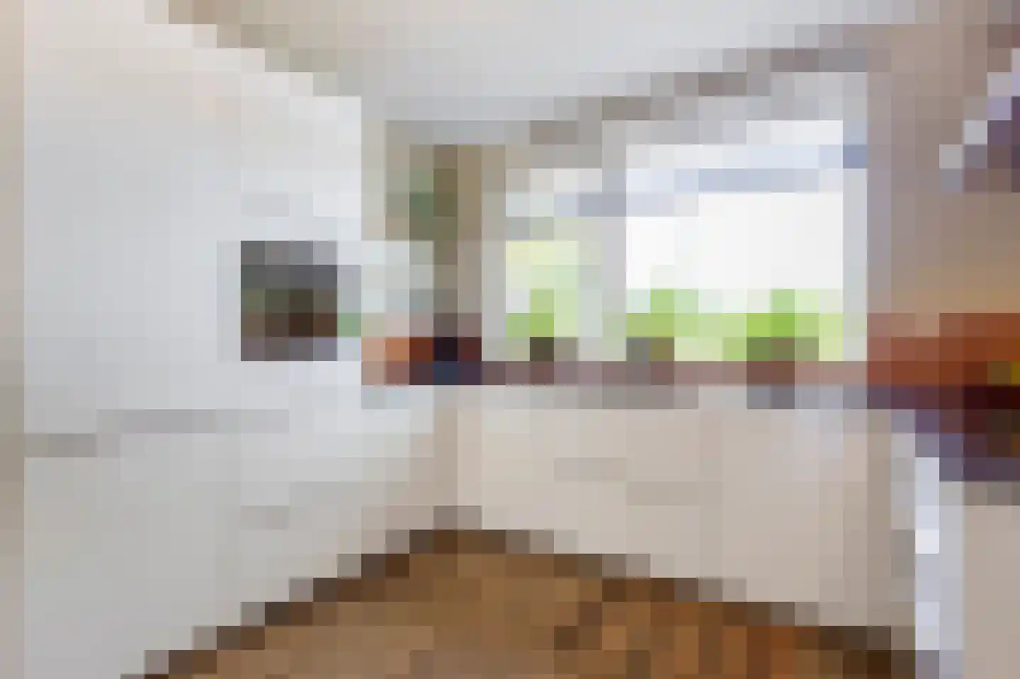 Frederikstraat 8 Hardinxveld-Giessendam thumbnail 8