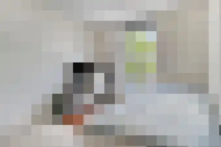 Frederiksveld 1 Nieuw-Vennep thumbnail 12