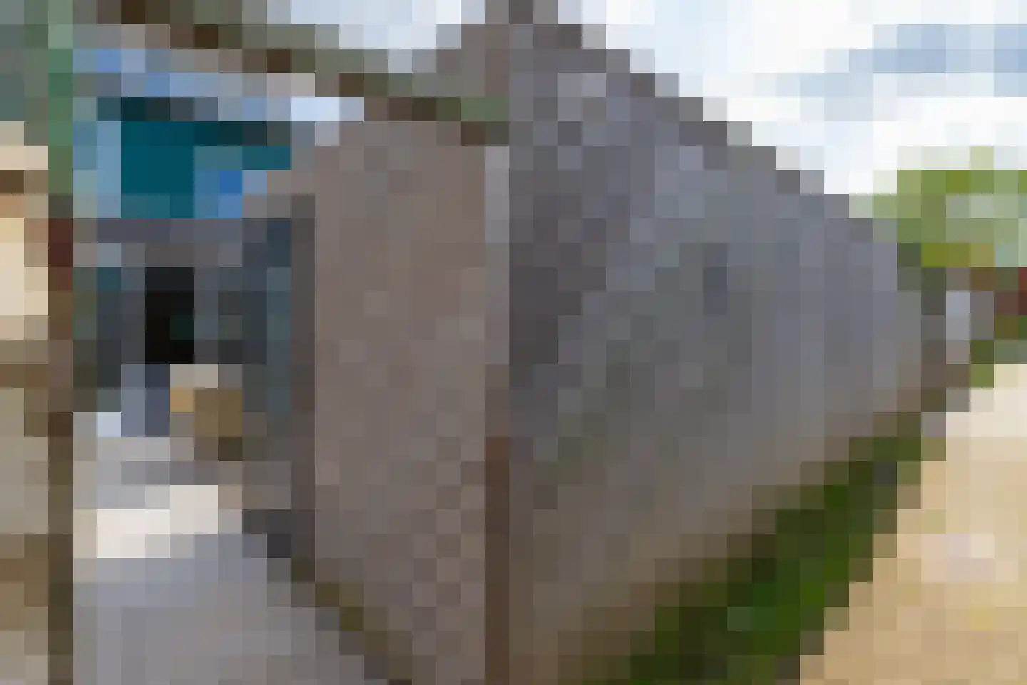 Frederiksveld 15 Nieuw-Vennep thumbnail 40