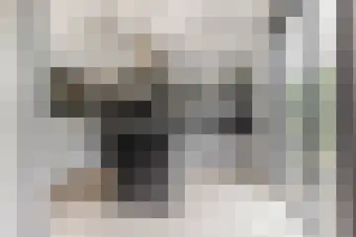 Frederiksveld 18 Nieuw-Vennep thumbnail 12