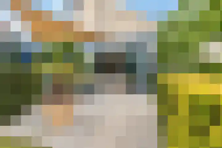 Frederiksveld 18 Nieuw-Vennep thumbnail 21