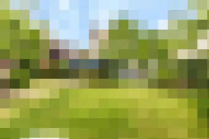 Frederiksveld 18 Nieuw-Vennep thumbnail 24