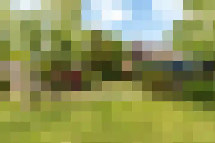 Frederiksveld 18 Nieuw-Vennep thumbnail 27