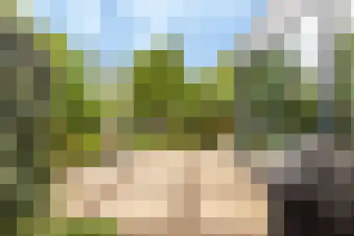 Frederiksveld 18 Nieuw-Vennep thumbnail 28
