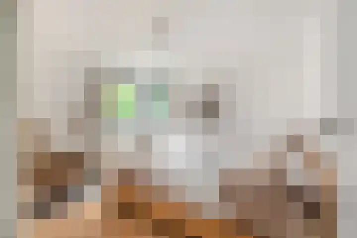Frederiksveld 18 Nieuw-Vennep thumbnail 34