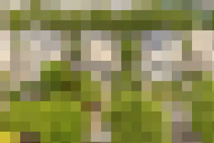 Frederiksveld 18 Nieuw-Vennep thumbnail 4
