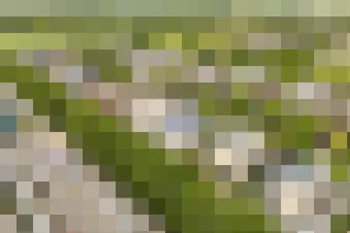 Frederiksveld 18 Nieuw-Vennep thumbnail 45