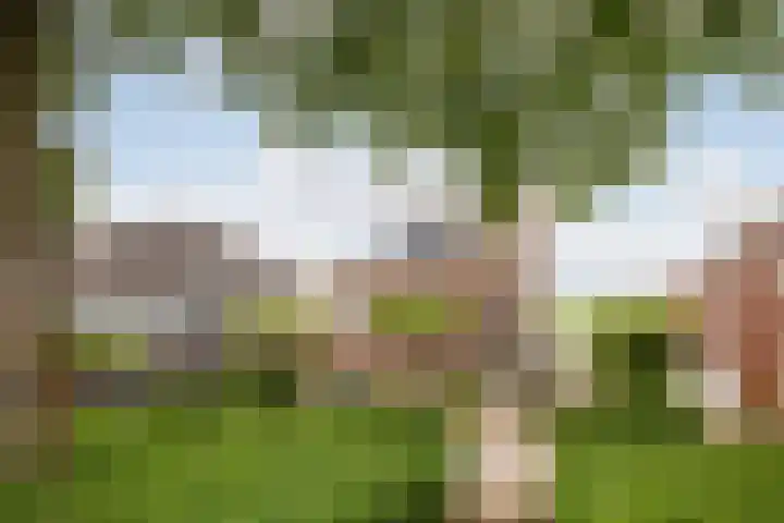 Frederiksveld 4 Nieuw-Vennep thumbnail 51