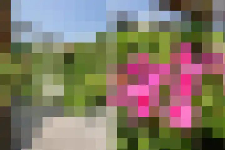 Frederiksveld 7 Nieuw-Vennep thumbnail 30