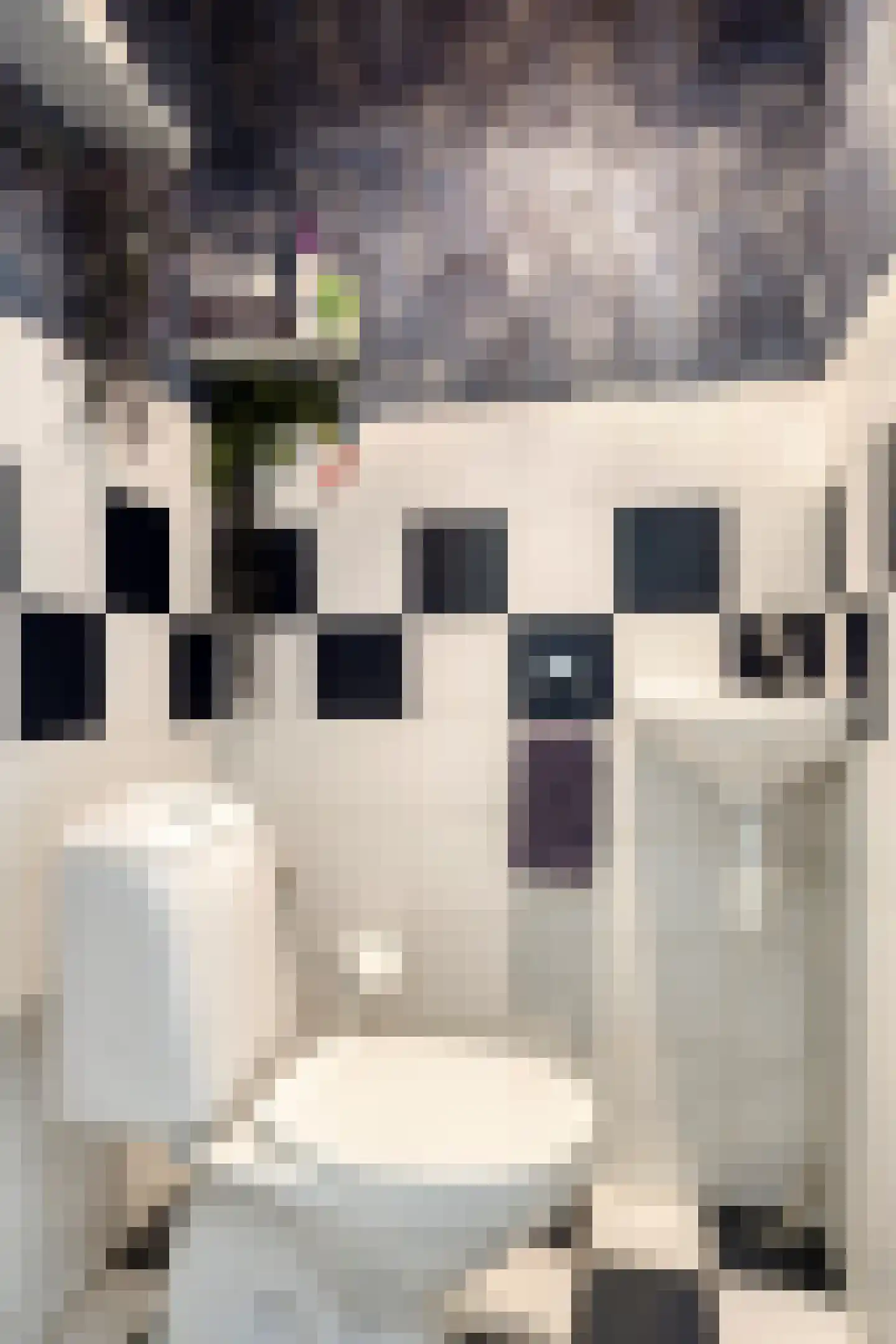 Frederiksweg 17 Aduard thumbnail 12