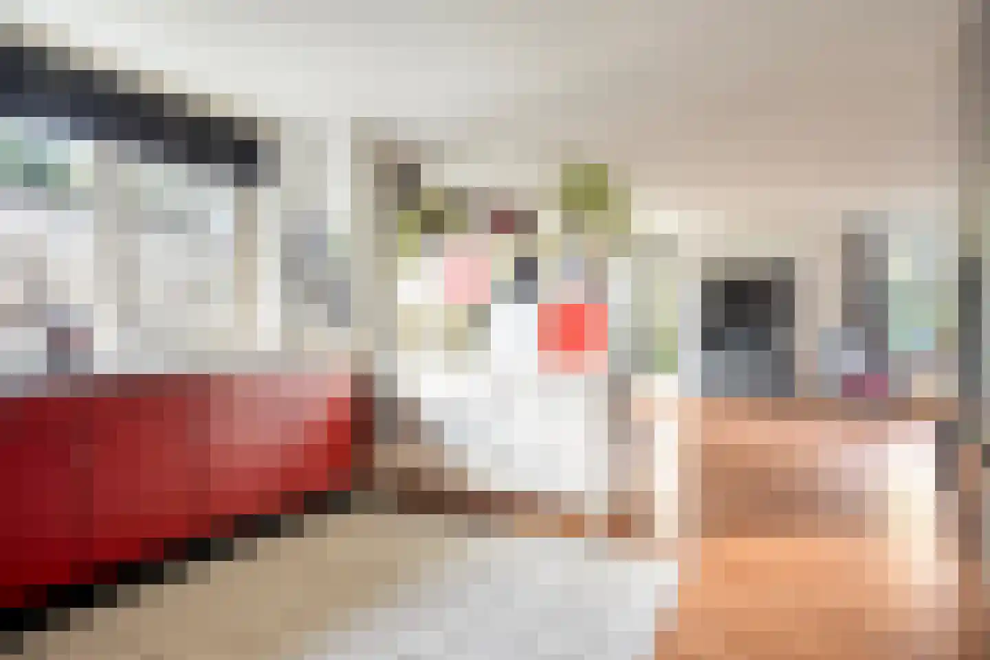 Frederiksweg 17 Aduard thumbnail 19