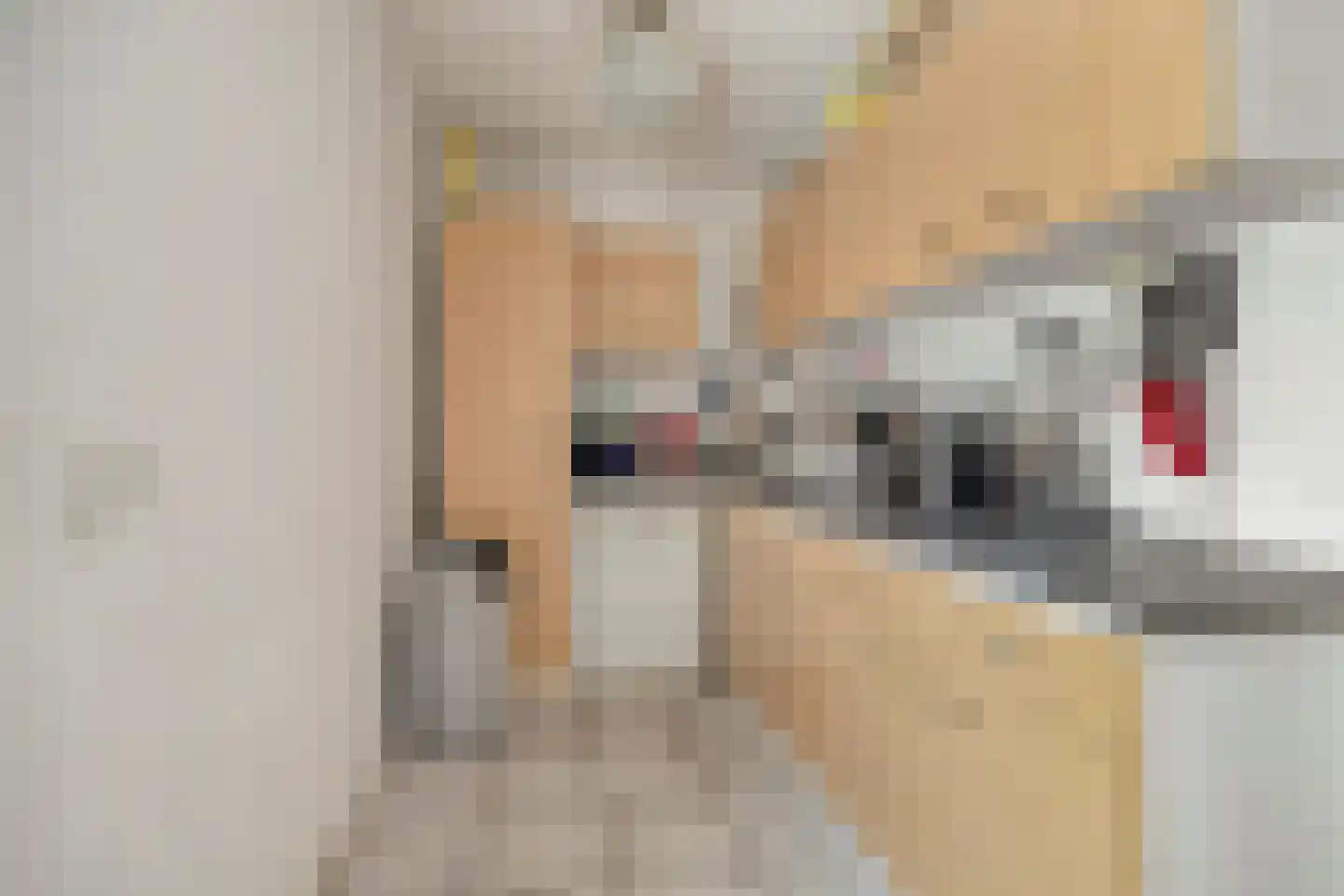 Frederiksweg 17 Aduard thumbnail 22