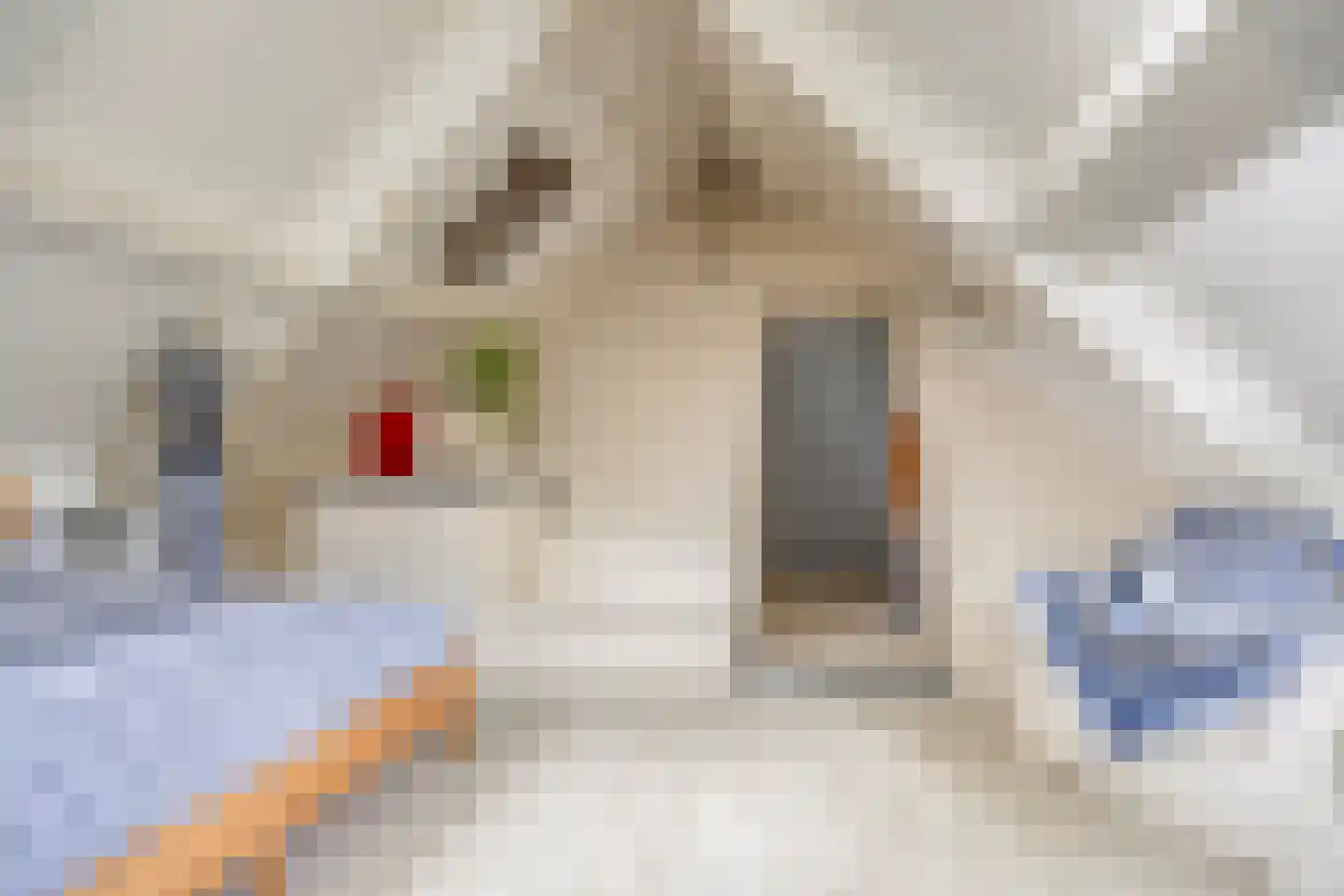 Frederiksweg 17 Aduard thumbnail 36