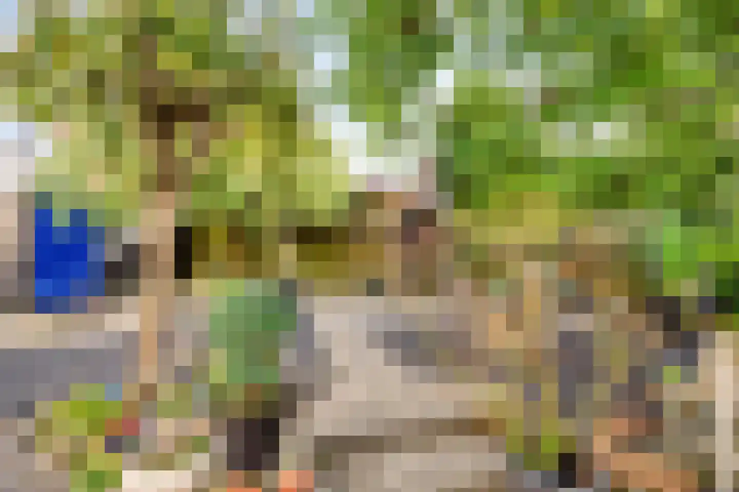 Frederiksweg 17 Aduard thumbnail 37