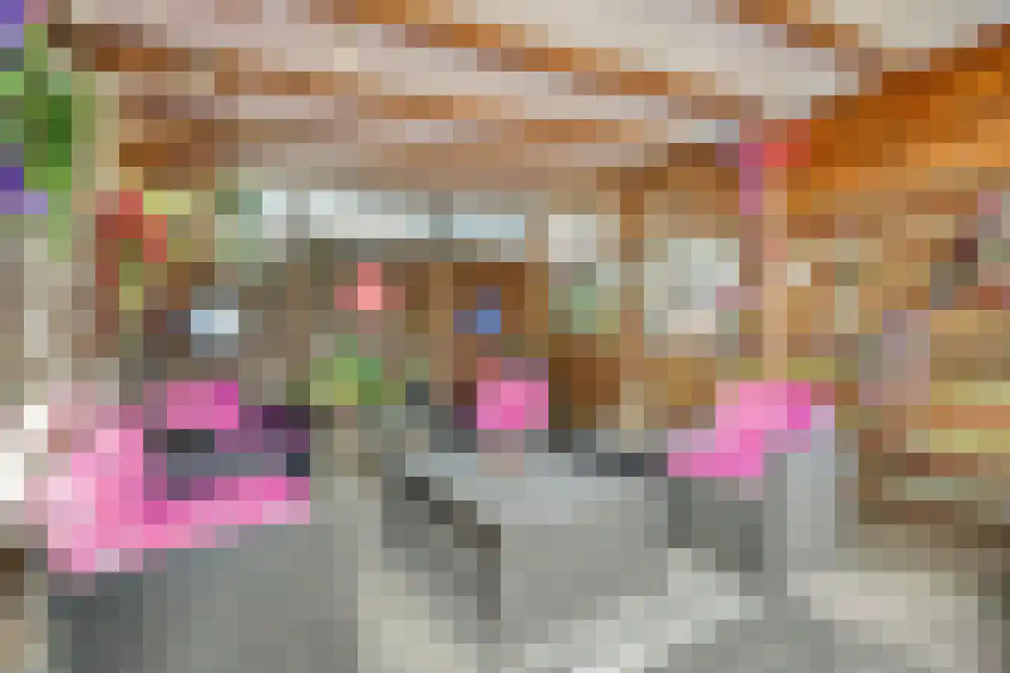 Frederiksweg 17 Aduard thumbnail 40