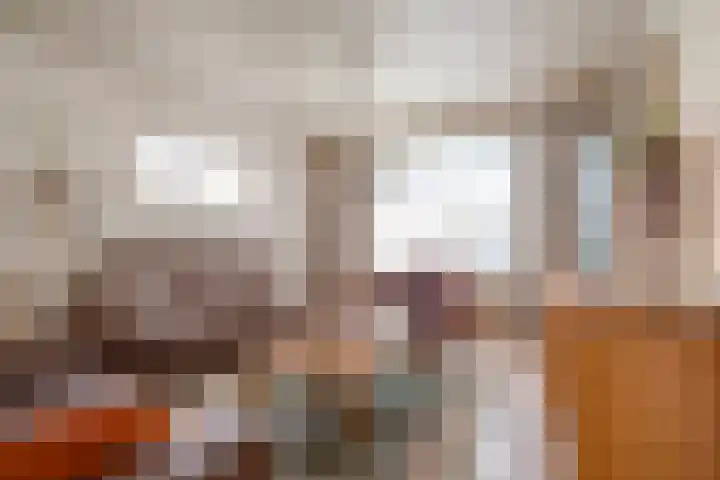 Frederiksweg 18 Mill thumbnail 10