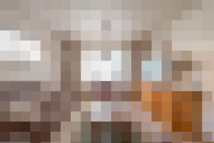 Frederiksweg 18 Mill thumbnail 12