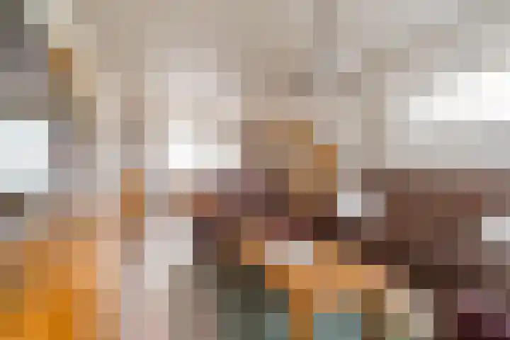Frederiksweg 18 Mill thumbnail 13