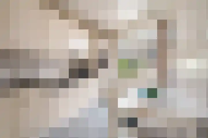 Frederiksweg 18 Mill thumbnail 17