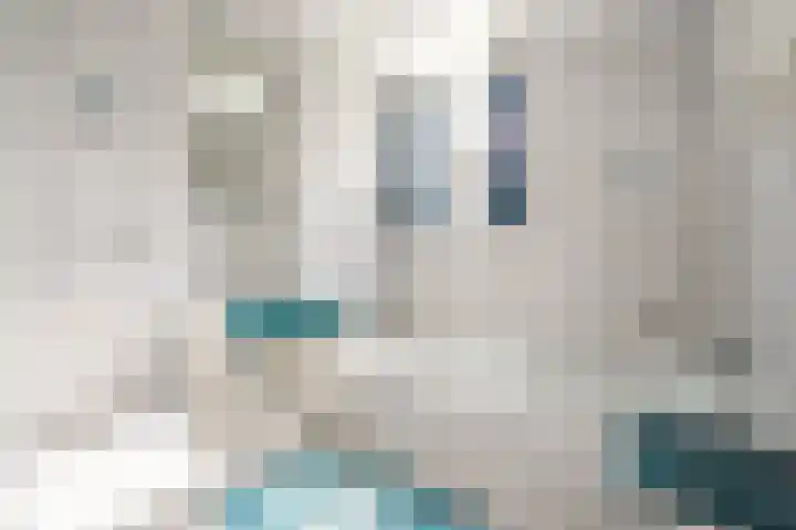 Frederiksweg 18 Mill thumbnail 24