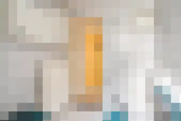 Frederiksweg 18 Mill thumbnail 25