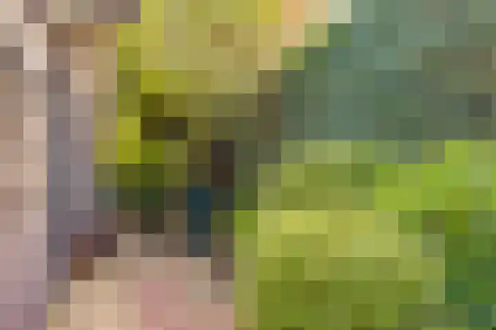 Frederiksweg 18 Mill thumbnail 32