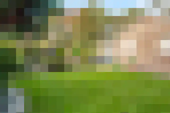 Frederiksweg 18 Mill thumbnail 33