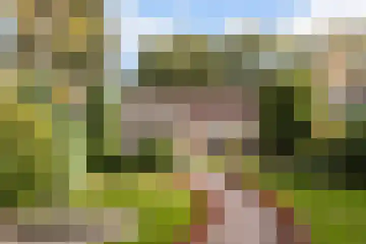 Frederiksweg 18 Mill thumbnail 34