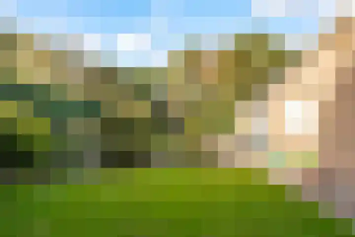 Frederiksweg 18 Mill thumbnail 35