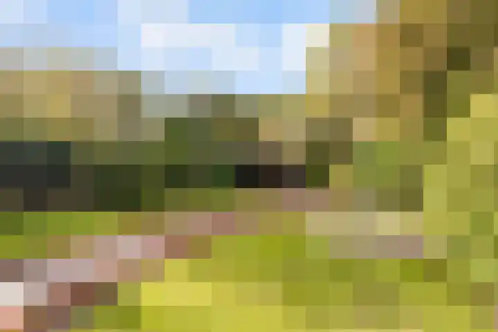 Frederiksweg 18 Mill thumbnail 36