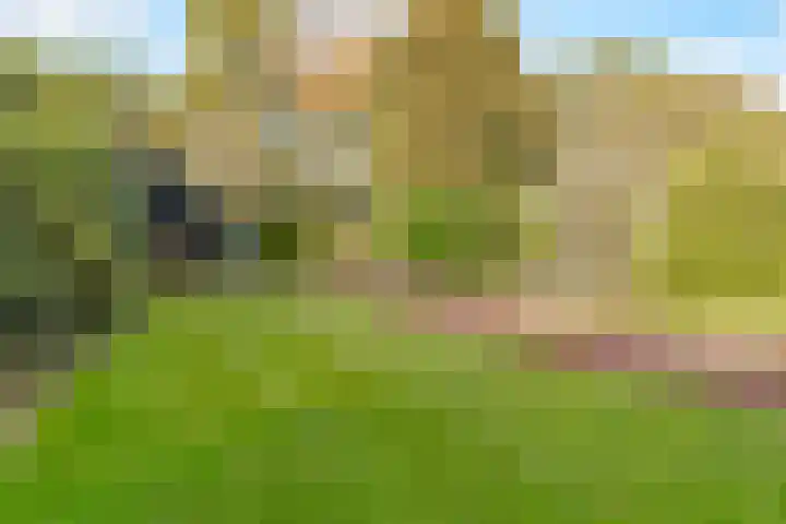 Frederiksweg 18 Mill thumbnail 38