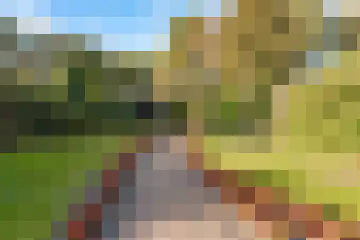Frederiksweg 18 Mill thumbnail 39